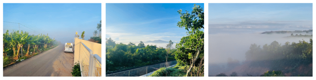 Săn mây Bảo Lộc