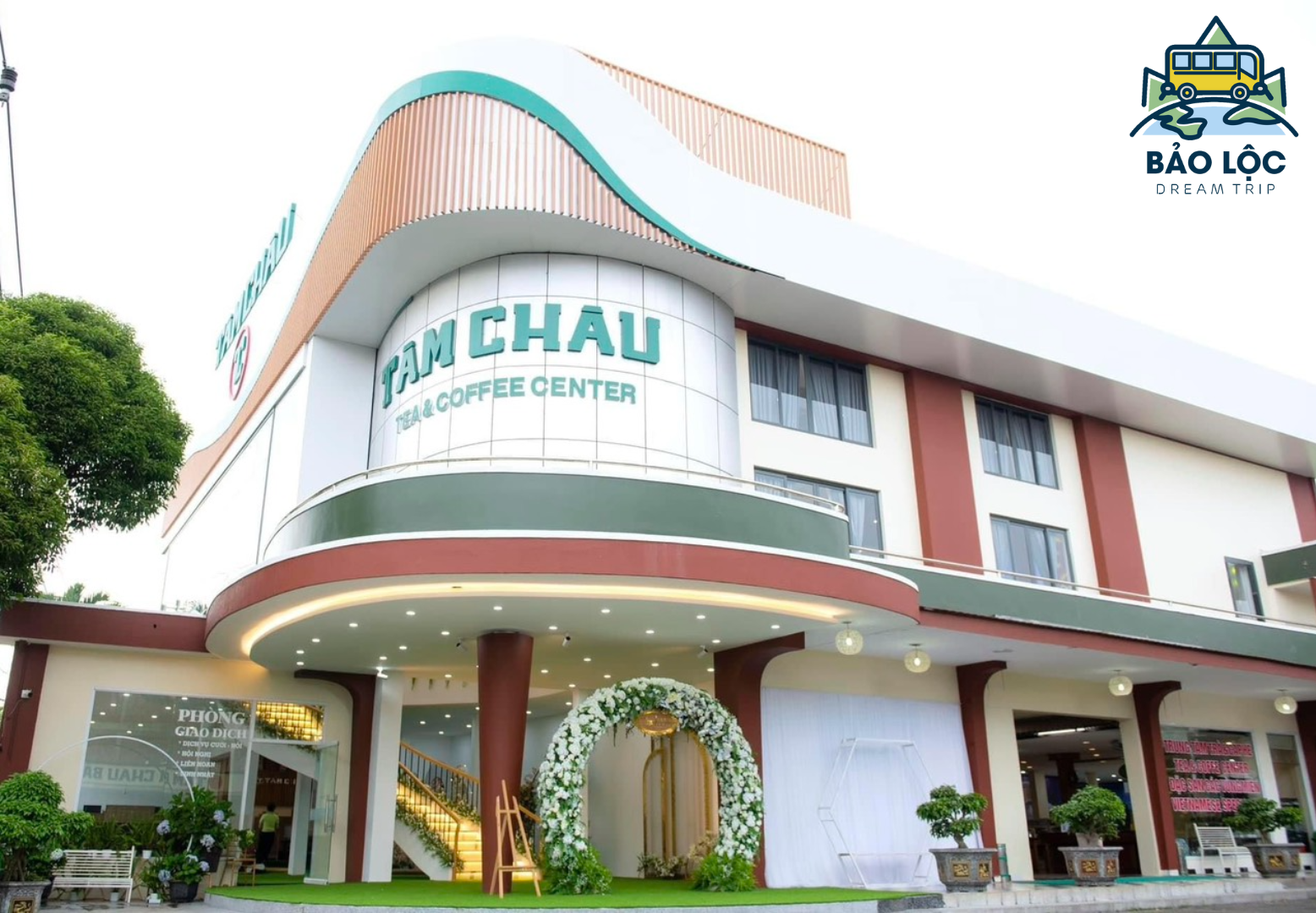 Trà Tâm Châu Bảo Lộc