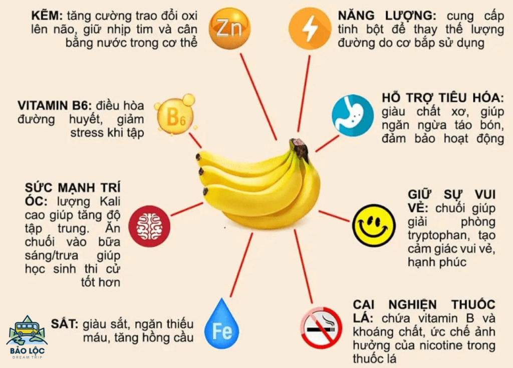 Chuối Laba Bảo Lộc