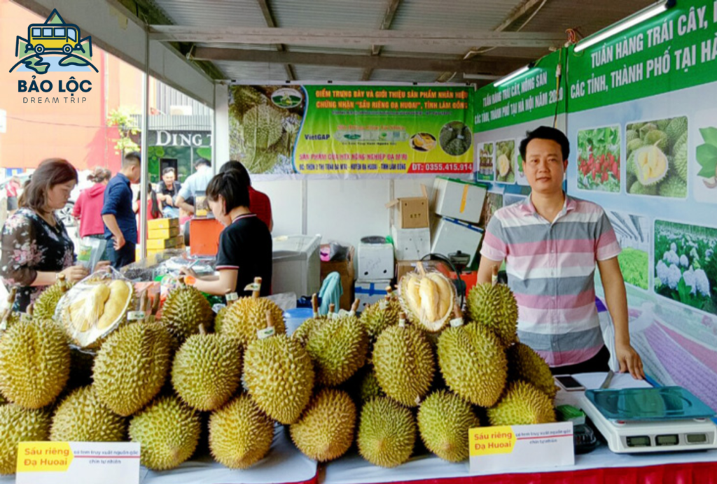 Sầu riêng Bảo Lộc