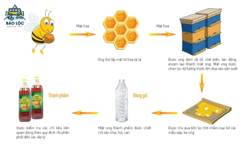 Mật ong Bảo Lộc