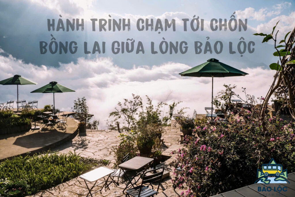 Săn mây Núi Đại Bình