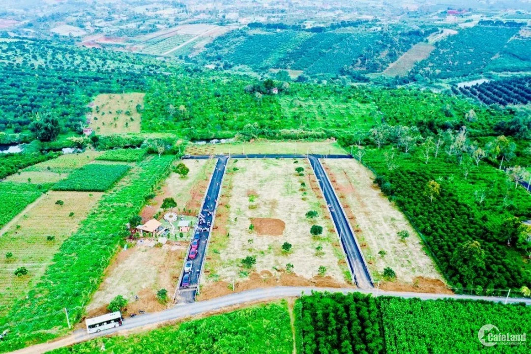 bán đất nền bảo lộc lâm đồng câu hỏi thường gặp
