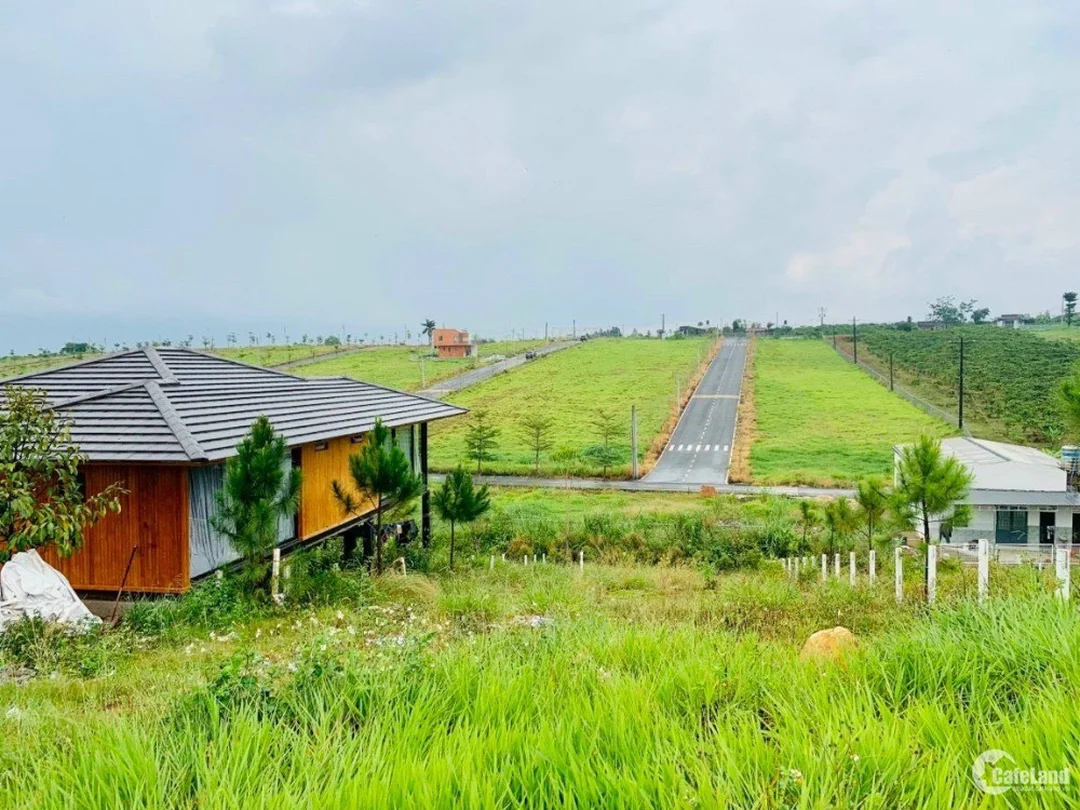 bán đất nông nghiệp bảo lộc lâm đồng kiểm tra sổ hồng quy hoạch