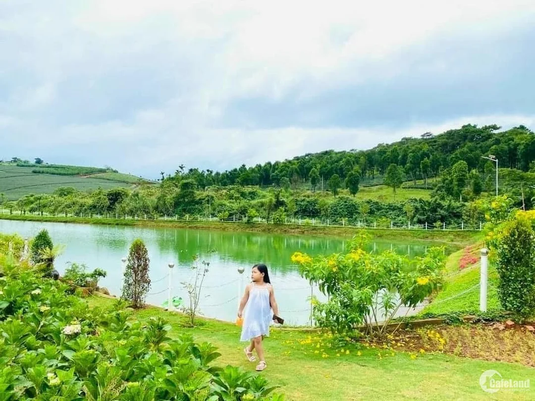 bán đất nông nghiệp bảo lộc lâm đồng sai lầm khi mua đất vườn