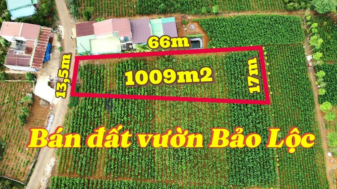 bán đất vườn Bảo Lộc Lâm Đồng khu đồi có view nghỉ dưỡng