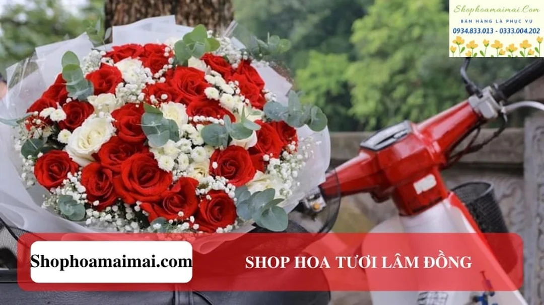 Bảng giá shop hoa bảo lộc lâm đồng cho hoa tươi theo dịp