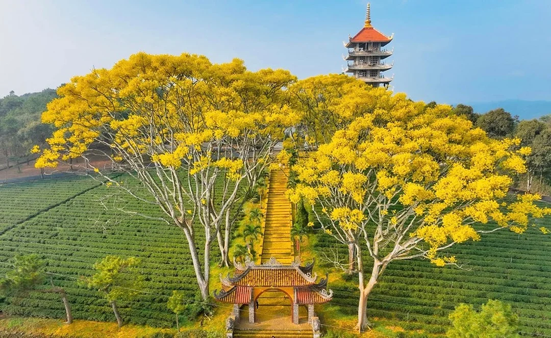 bảo lộc lâm đồng có gì đẹp tại thác Đambri hùng vĩ