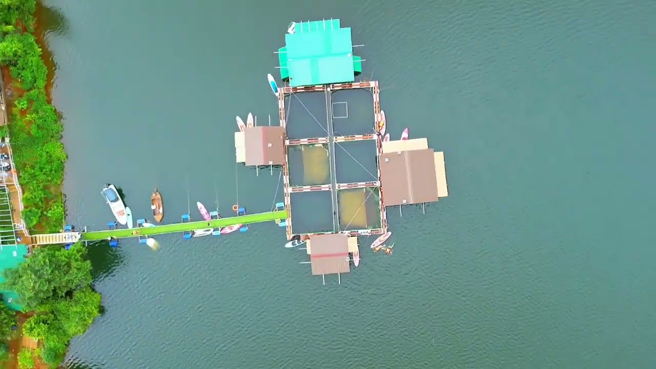 Cá Tầm Vũ Trụ – Địa Điểm Vui Chơi Và Ẩm Thực Đặc Sắc