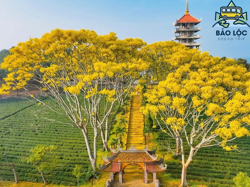 Cẩm nang du lịch Bảo Lộc: ăn gì, chơi gì và ở đâu?