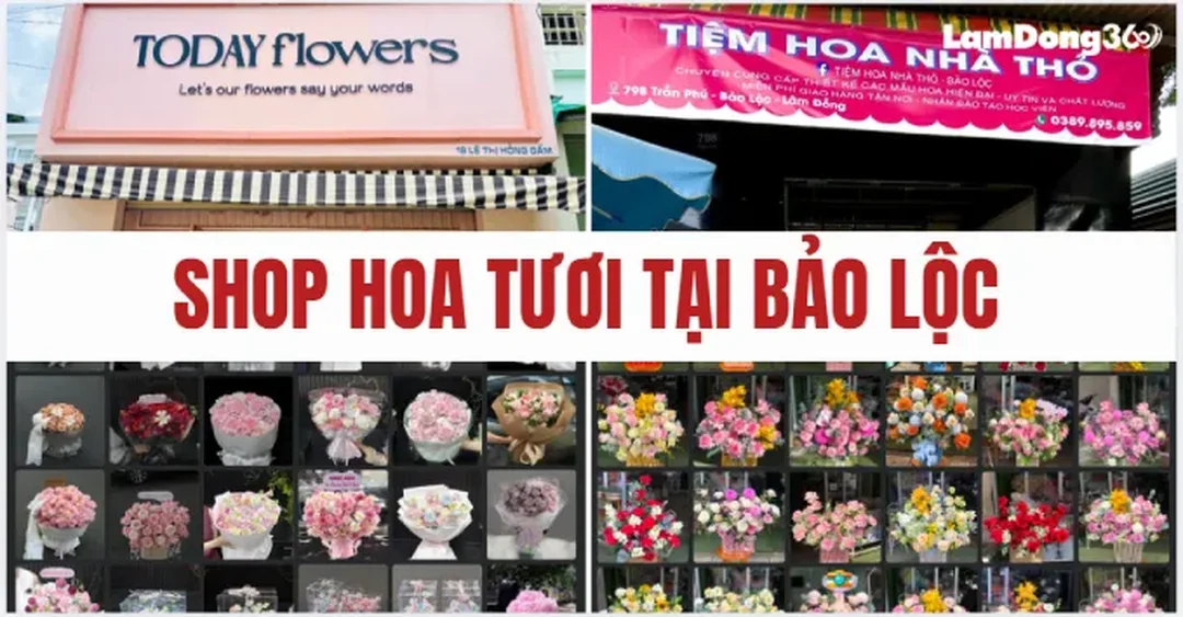 Câu hỏi thường gặp về shop hoa bảo lộc lâm đồng