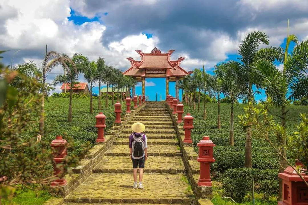 Lối vào Chùa Di Đà Bảo Lộc Lâm Đồng chùa di đà bảo lộc lâm đồng có lối xuống từ cổng chính
