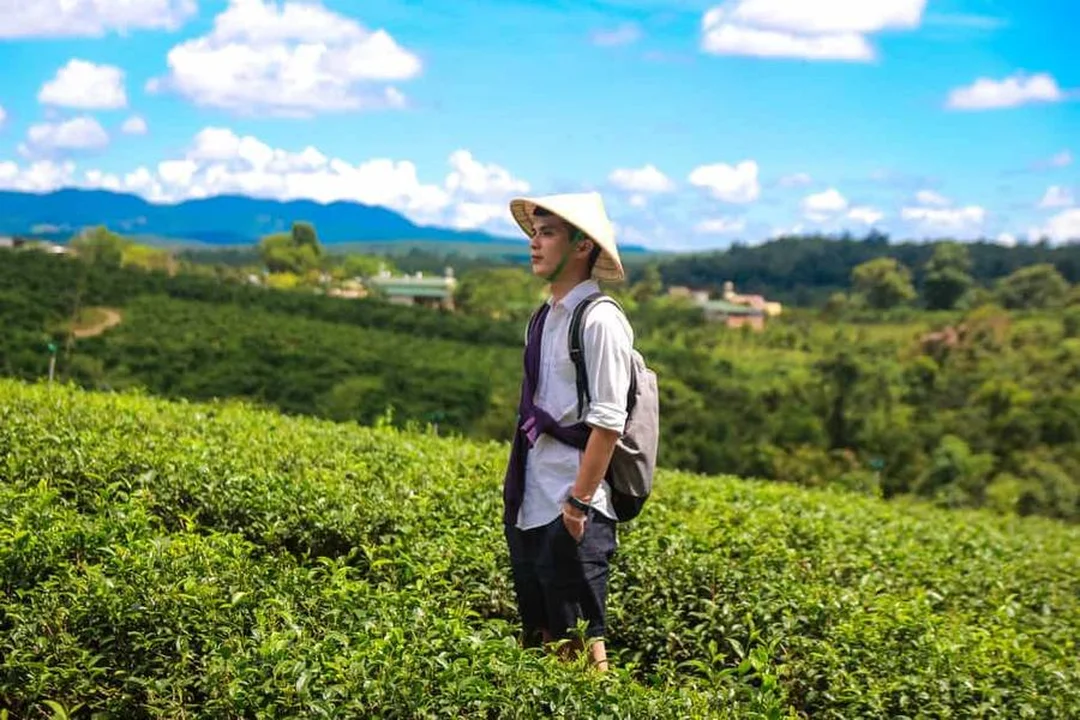 Chùa Di Đà Bảo Lộc Lâm Đồng giữa đồi chè chùa di đà bảo lộc lâm đồng nằm giữa đồi chè xanh