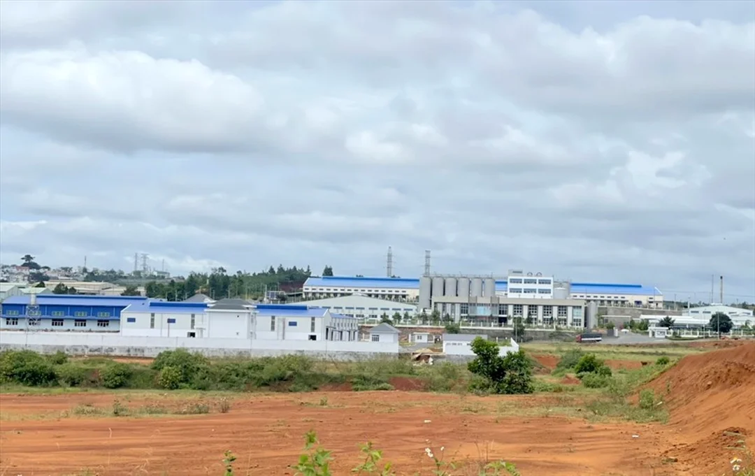 công ty scavi bảo lộc lâm đồng - hình minh họa 1