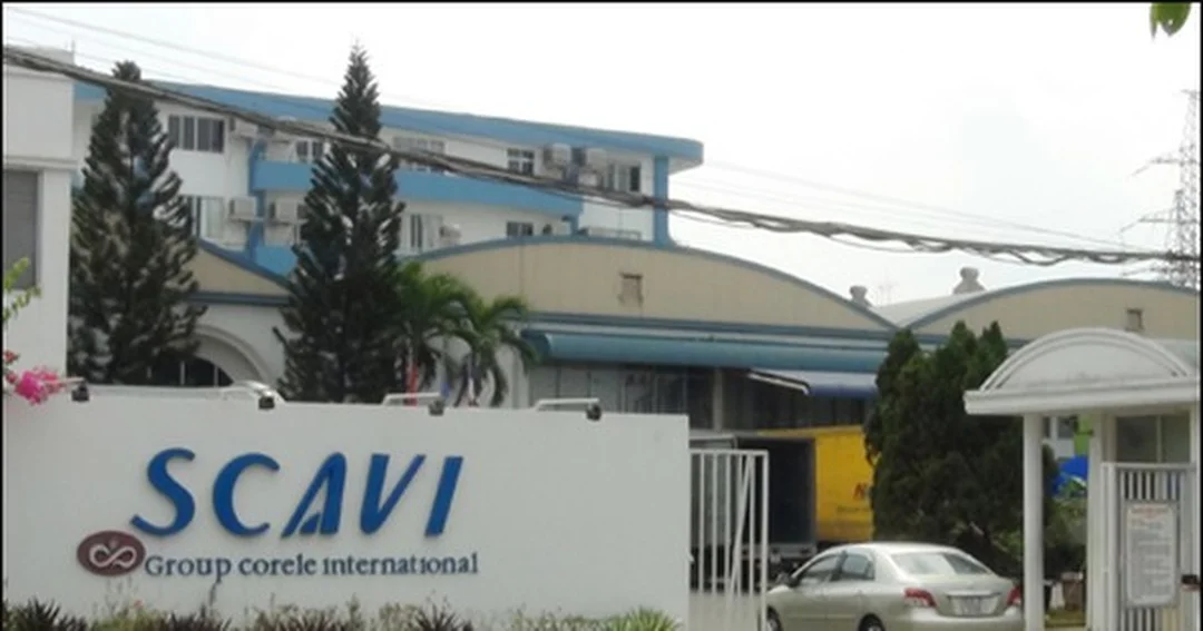 công ty scavi bảo lộc lâm đồng - hình minh họa 2