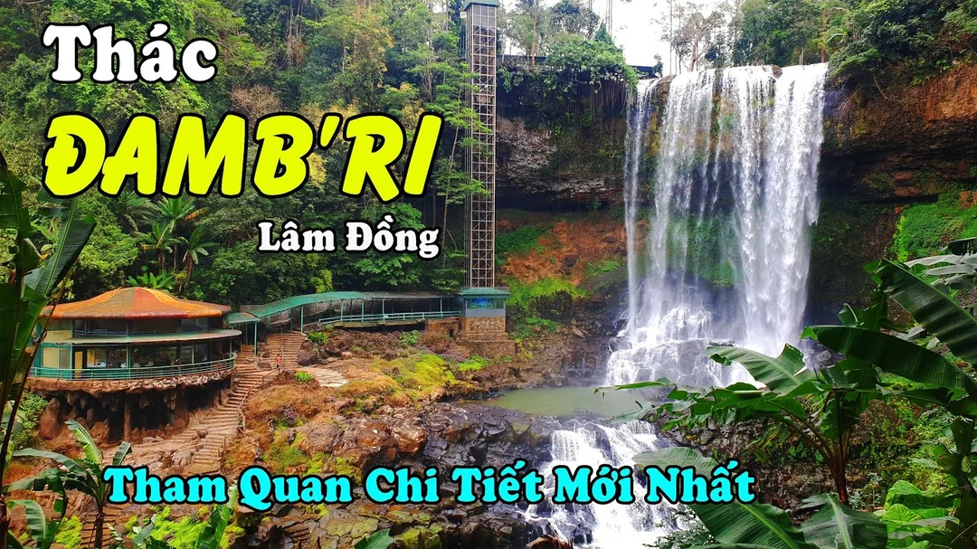 Lịch trình khám phá Đambri Bảo Lộc Lâm Đồng cuối tuần đambri bảo lộc lâm đồng đường đi và lịch trình cuối tuần