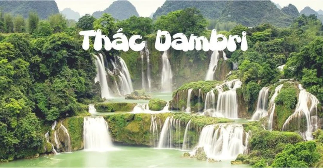 Góc check-in thác Đambri Bảo Lộc Lâm Đồng đambri bảo lộc lâm đồng góc check in thác và rừng