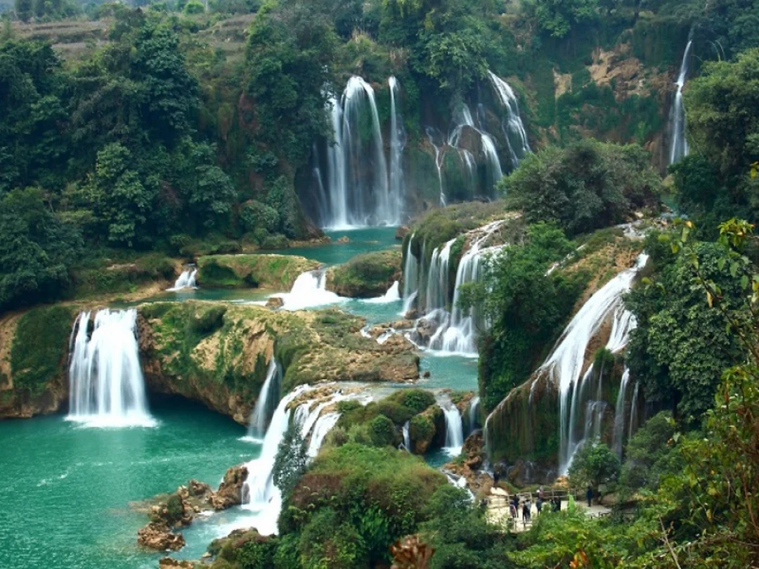 Khu lưu trú sinh thái gần thác Đambri Bảo Lộc Lâm Đồng đambri bảo lộc lâm đồng khu lưu trú sinh thái