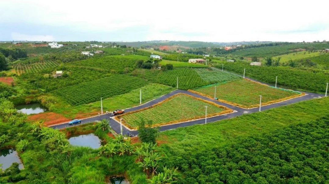 đất nền bảo lộc lâm đồng khu nghỉ dưỡng gần Đambri