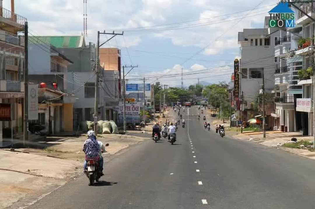 đường trần phú bảo lộc lâm đồng tổng quan