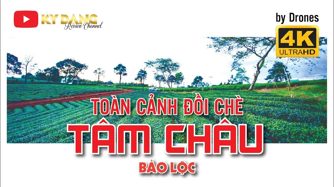 Flycam Đồi chè Tâm Châu Bảo Lộc