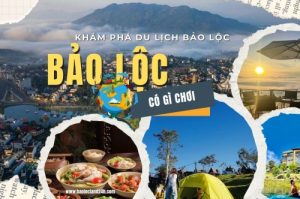 Hành Trình 24H Khám Phá Bảo Lộc: Đi Đâu, Ăn Gì, Trải Nghiệm Gì?