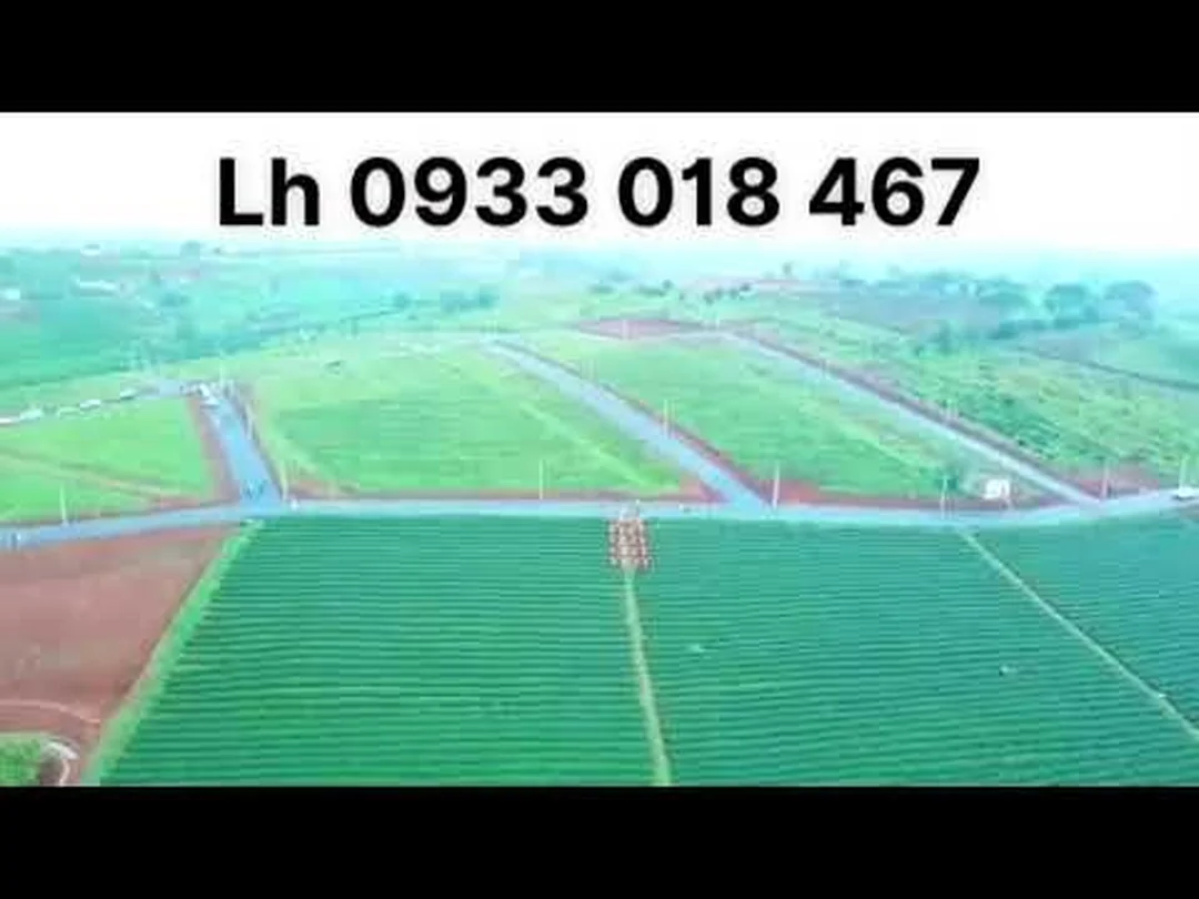khi nào nên đối chiếu thông tin click49 bảo lộc lâm đồng
