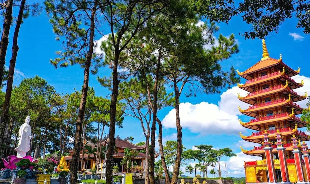 Rừng thông tu viện Bát Nhã Bảo Lộc Lâm Đồng Không gian rừng thông gần tu viện Bát Nhã Bảo Lộc Lâm Đồng