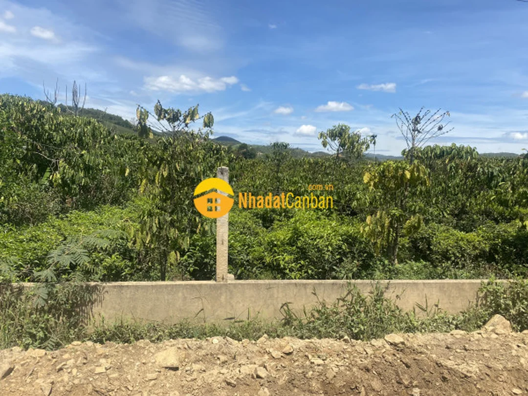 kinh nghiệm đi mai thúc loan đại lào bảo lộc lâm đồng