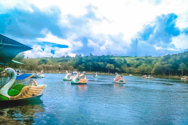 Lịch Trình Du Lịch Bảo Lộc 2 Ngày 1 Đêm – Trải Nghiệm Phố Núi Yên Bình