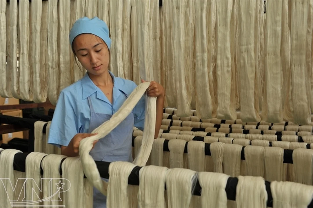 lụa Bảo Lộc Lâm Đồng với kén tằm và sợi tơ