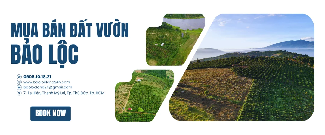 mua bán đất vườn bảo lộc lâm đồng khu vực nghỉ dưỡng