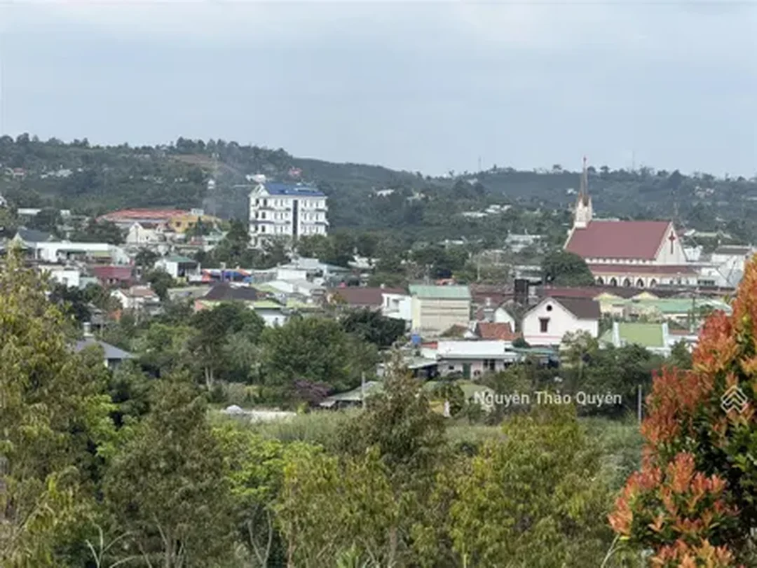 Nhà vườn khu xã Đại Lào thành phố Bảo Lộc Lâm Đồng nhà vườn xã đại lào thành phố bảo lộc lâm đồng