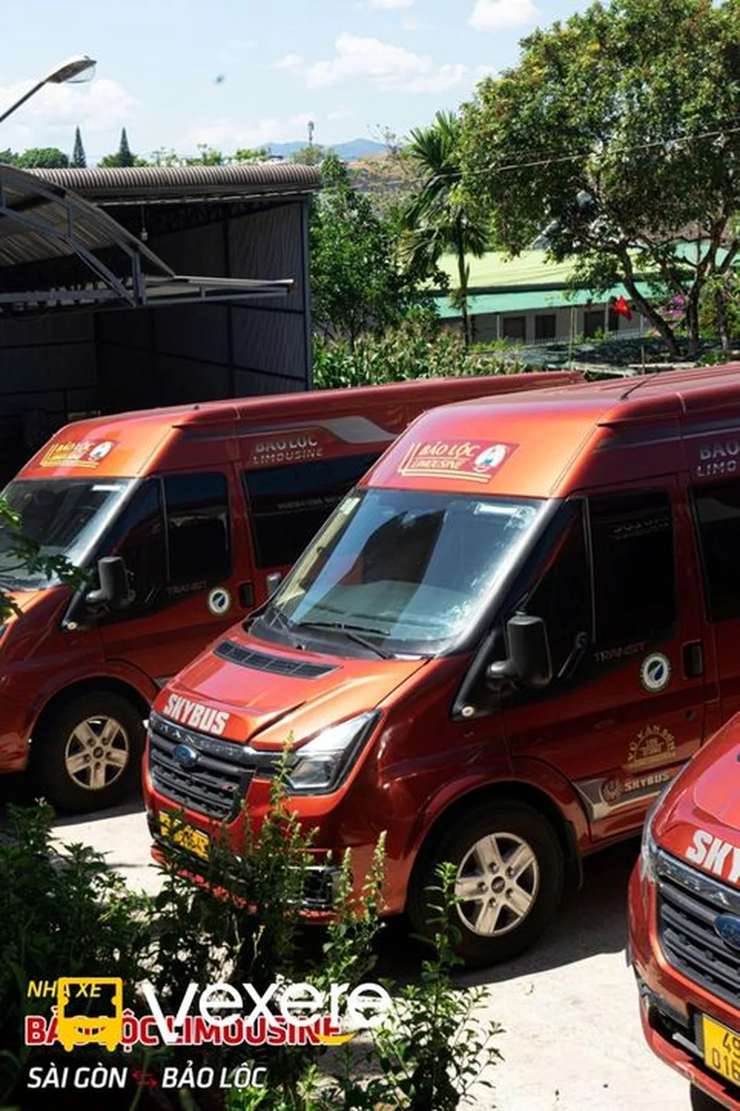 Xe limousine Bảo Lộc đón trả khách nhà xe bảo lộc lâm đồng đặt vé limousine Bảo Lộc