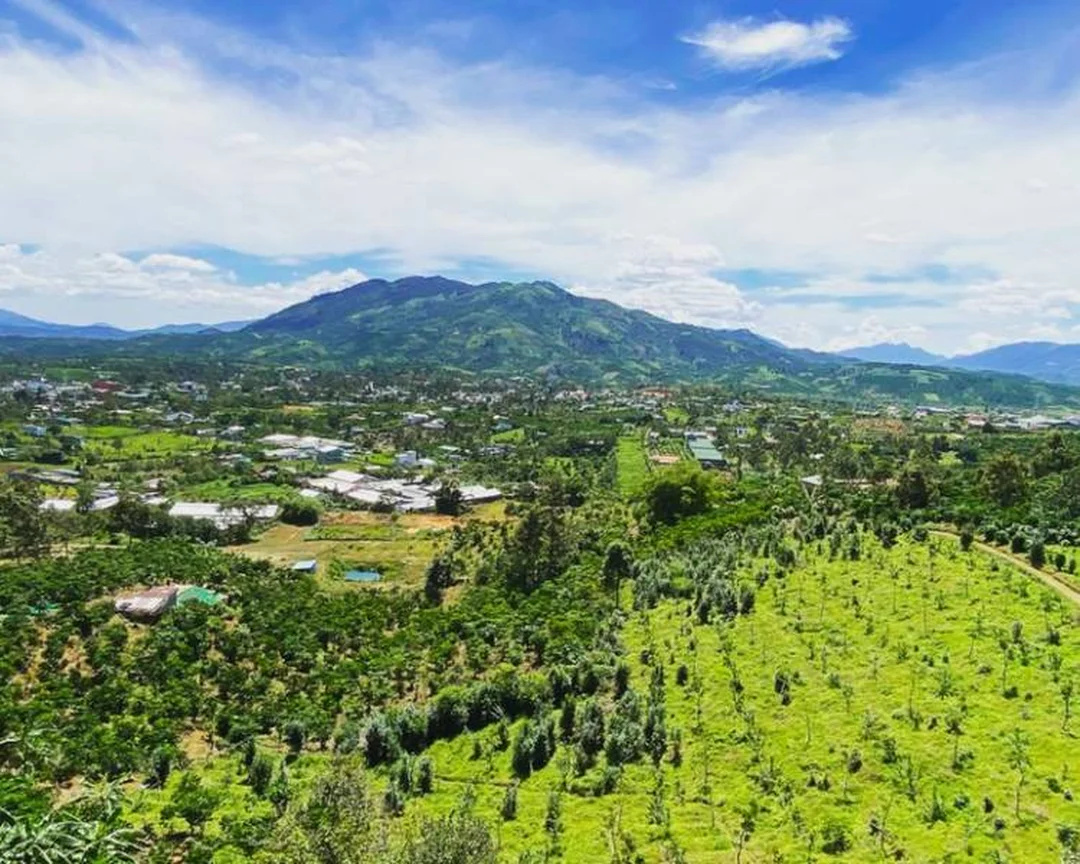 Điểm cắm trại núi Đại Bình Lộc Thành Bảo Lộc Lâm Đồng núi đại bình lộc thành bảo lộc lâm đồng điểm cắm trại