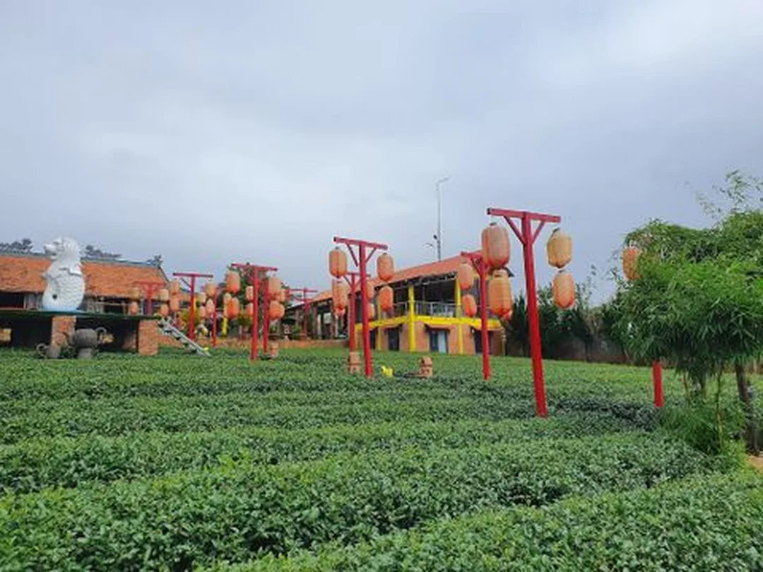 Chùa Trà gần khu Lộc Phát Bảo Lộc phường lộc phát thành phố bảo lộc lâm đồng gần chùa trà