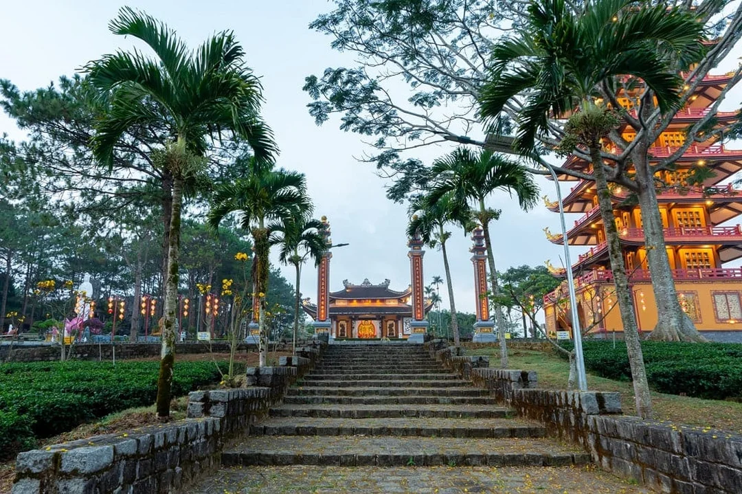 Phượng vàng tu viện Bát Nhã Bảo Lộc Lâm Đồng Phượng vàng tại tu viện Bát Nhã Bảo Lộc Lâm Đồng mùa đẹp