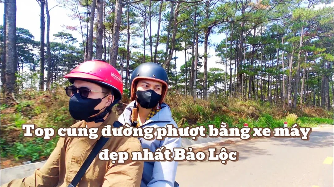 phượt bảo lộc lâm đồng săn mây ở vùng cao nguyên