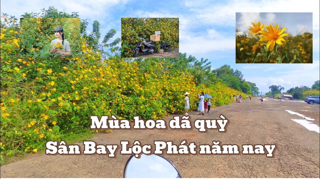 Câu hỏi thường gặp về sân bay gần Bảo Lộc sân bay bảo lộc lâm đồng và câu hỏi thường gặp cho khách tự túc