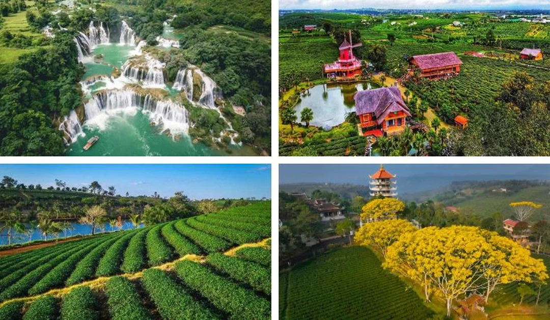 thành phố bảo lộc có gì chơi với quán cà phê view đồi và đặc sản địa phương