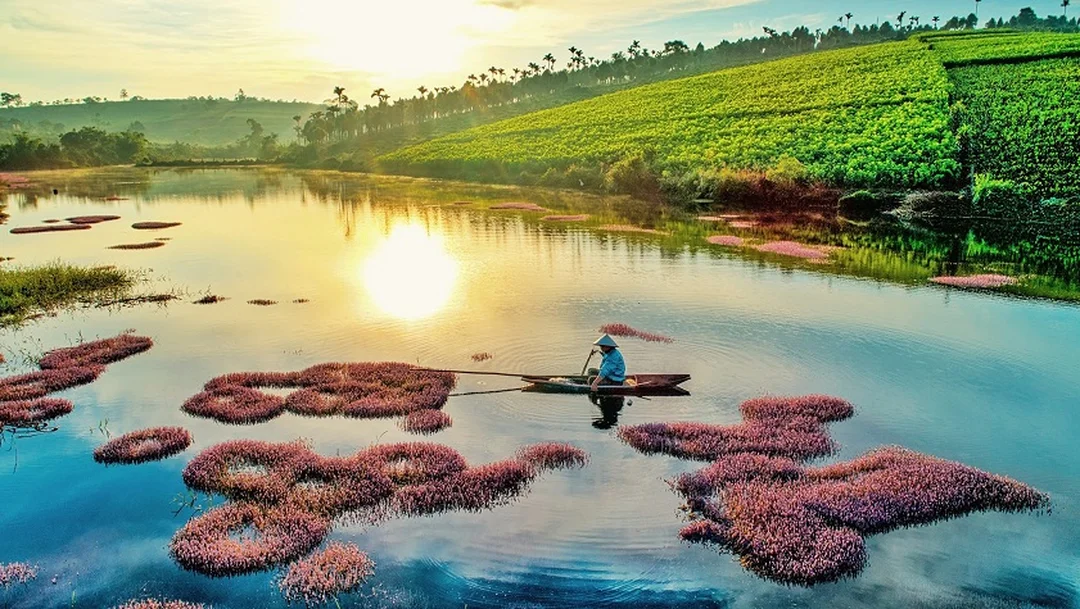 tp bảo lộc có gì chơi ở thác Đambri và khu sinh thái