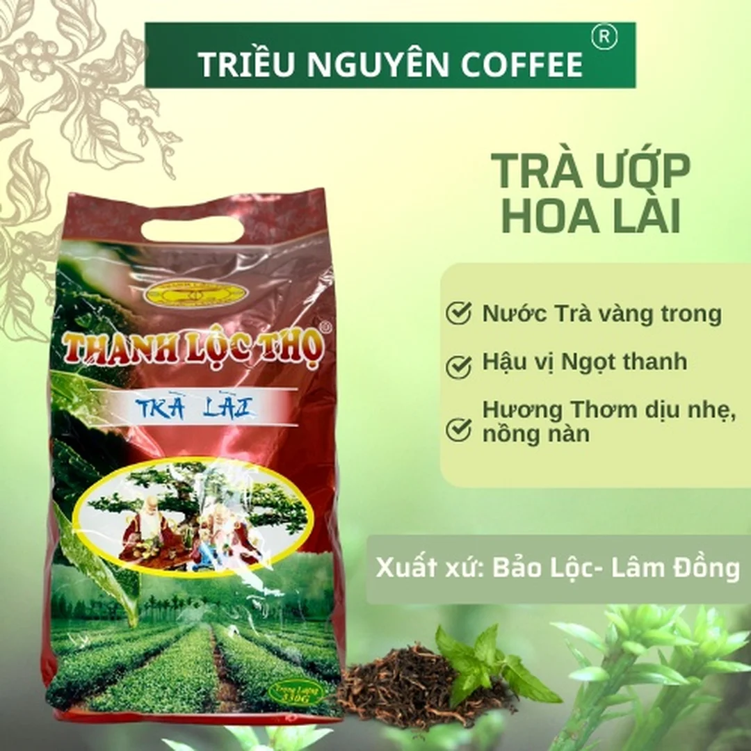 Trà lài Bảo Lộc Lâm Đồng dạng gói nguyên liệu trà lài bảo lộc lâm đồng dạng gói nguyên liệu pha chế