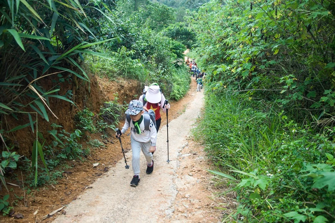trekking núi Đại Bình Bảo Lộc Lâm Đồng qua đường rừng