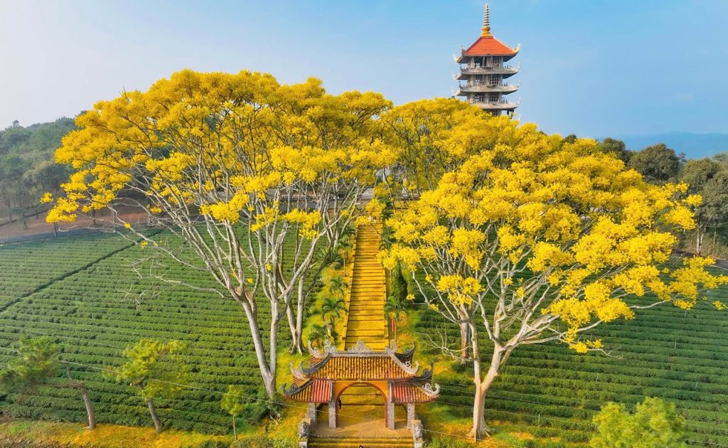 banner du lịch bảo lộc