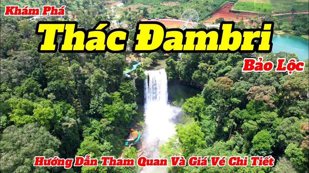 Video khám phá Thác Đambri gần 80 Hoàng Văn Thụ Phường 1 Bảo Lộc