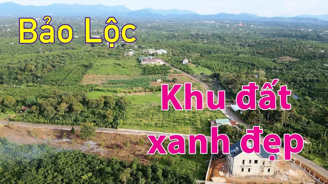 Video thực tế khu đất Tân Lạc Bảo Lộc đường thông xanh mát